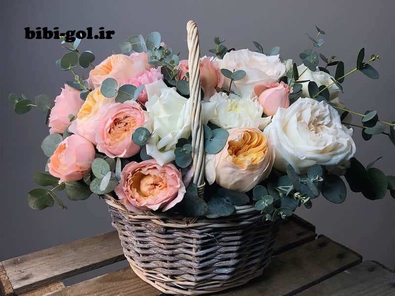 گل تولد