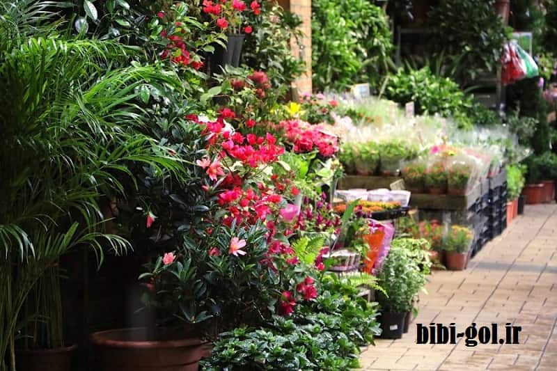 خرید اینترنتی گل