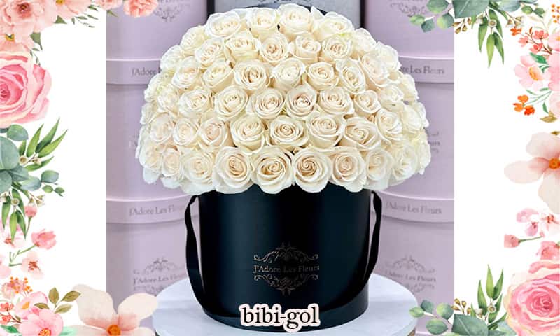 باکس گل رز سفید