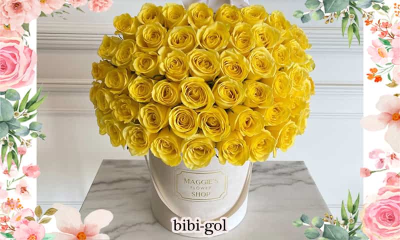 باکس گل رز زرد