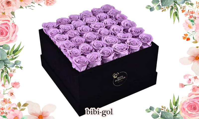 باکس گل رز بنفش