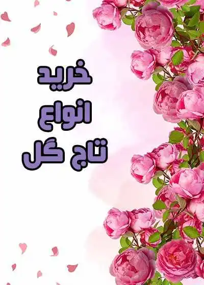 تاج گل تاج گل