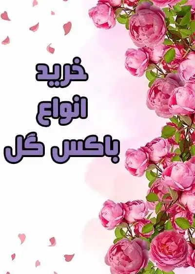 باکس گل باکس گل