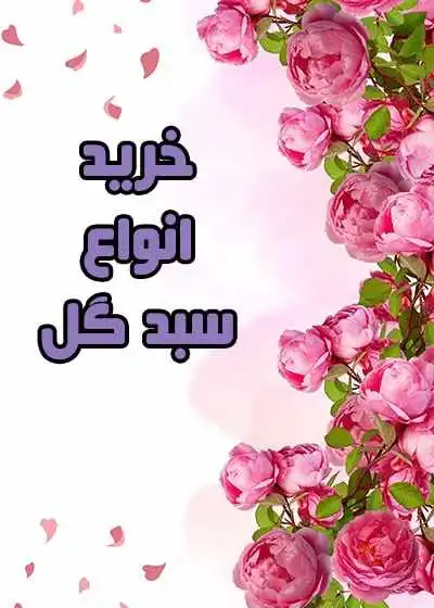 سبد گل سبد گل