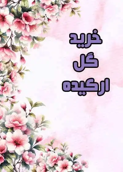قیمت گل ارکیده قیمت گل ارکیده