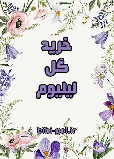 خرید لیلیوم خرید لیلیوم
