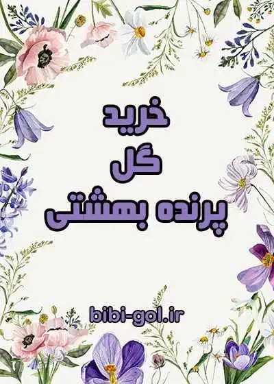 گیاه پرنده بهشتی گیاه پرنده بهشتی