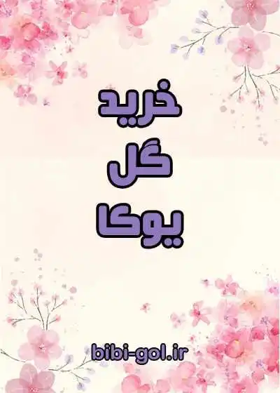 خرید یوکا تنه دار خرید یوکا تنه دار