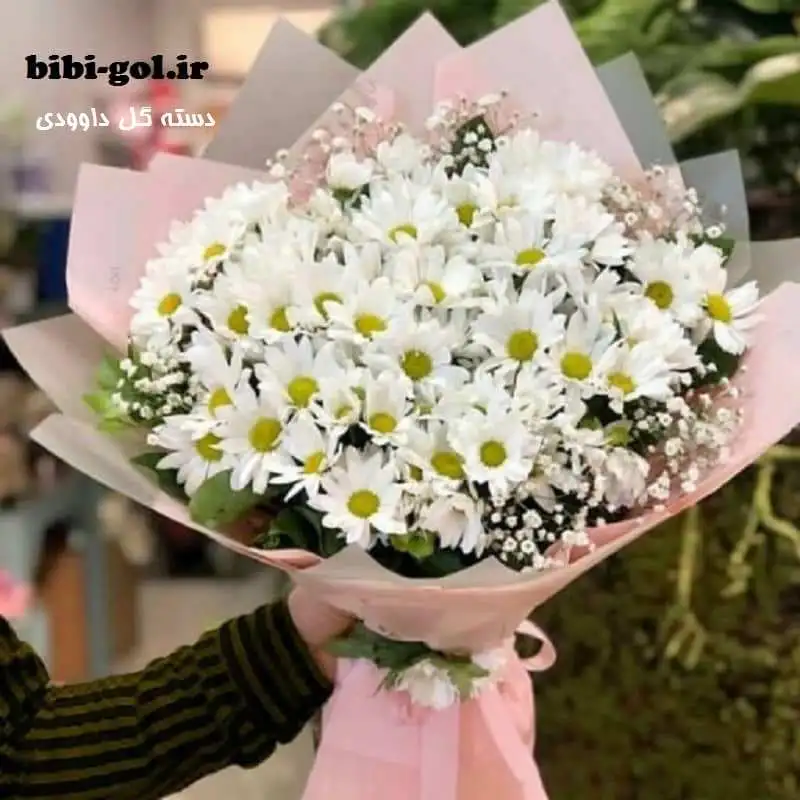 دسته گل داوودی - تزئین با قیمت ارزان