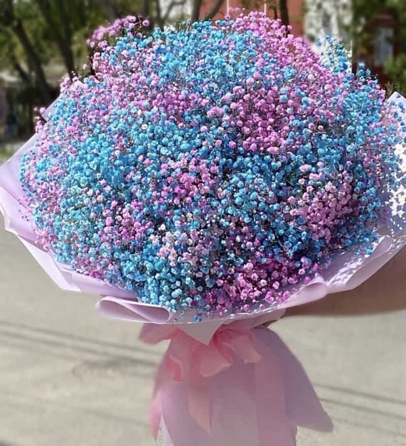 دسته گل ژیپسوفیلا
