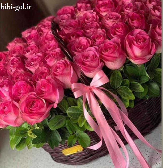 سبد گل رز